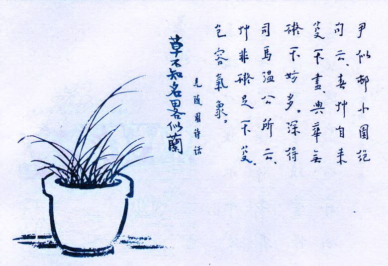 291. 草不知名略似蘭.jpg