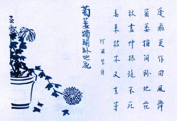 347. 菊萎猶開臥地花.jpg