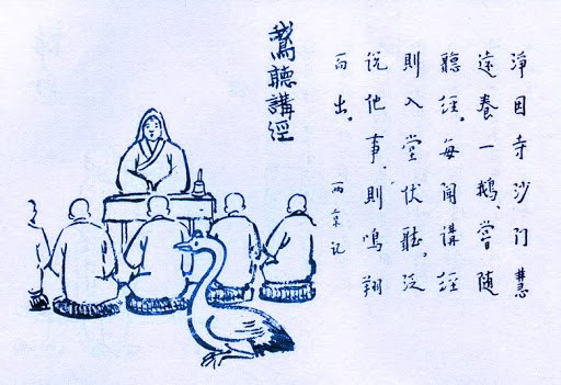 421. 鵝聽講經.jpg