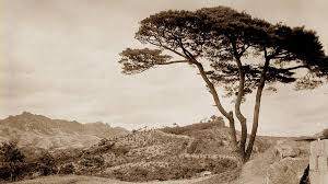 낙산 1911 사진.jpg