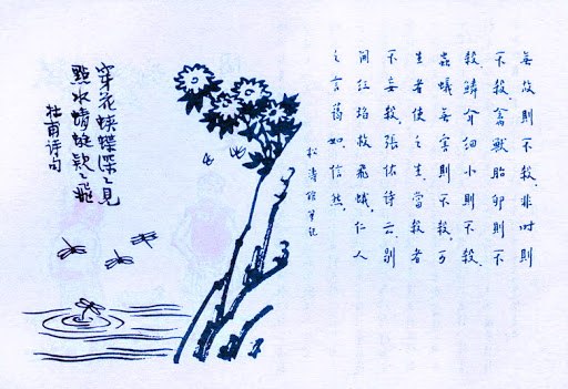 255. 穿花蛺蝶深深見.jpg