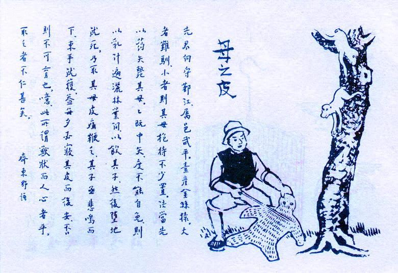 237. 母之皮.jpg