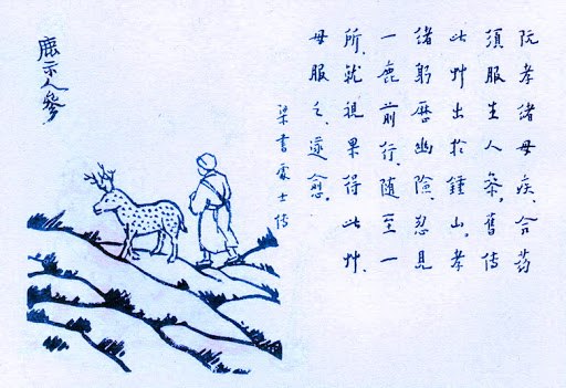 384. 鹿示人參.jpg