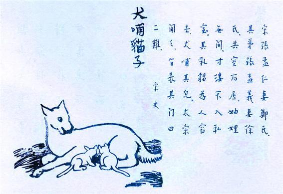 374. 犬哺.jpg
