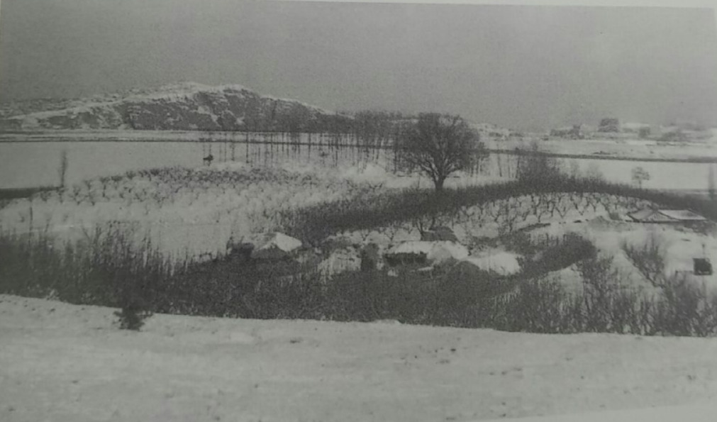 압구정 1960년.jpg