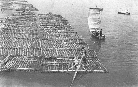 광나루 옛 모습.jpg