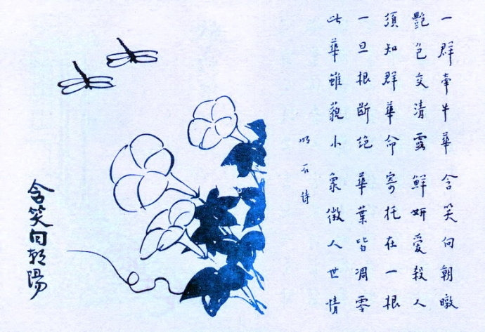 342. 含笑向朝陽.jpg