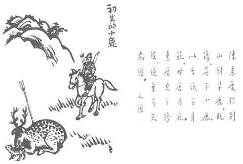 93. 初生的小鹿.jpg