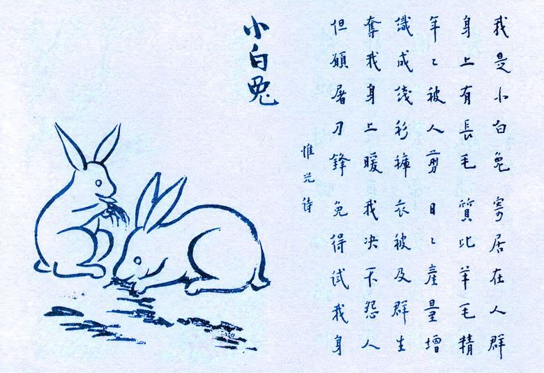 322. 小白兔.jpg
