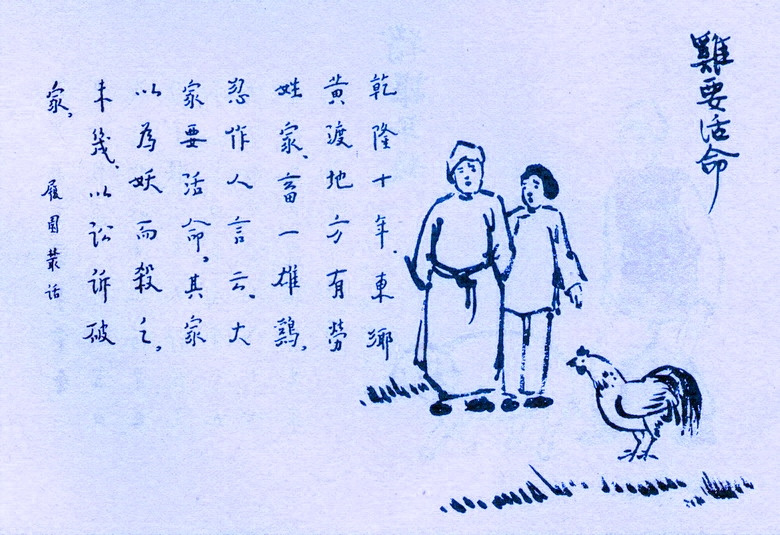 434. 雞要活命.jpg