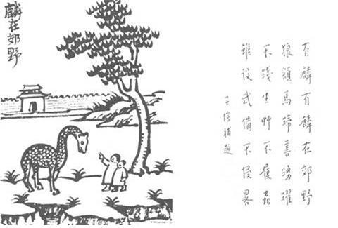 108. 麟在郊野.jpg