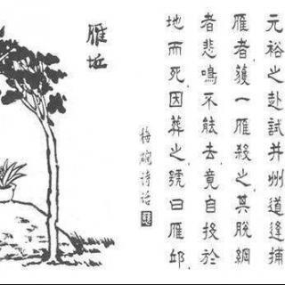 218. 問世間, 情是何物，直教生死相許.jpg