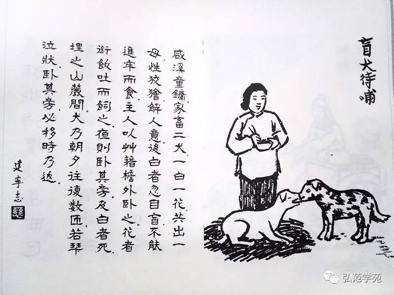 440. 盲犬待哺.jpg