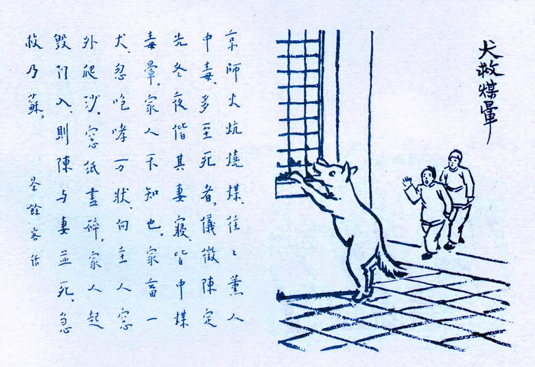 390. 犬救煤暈.jpg