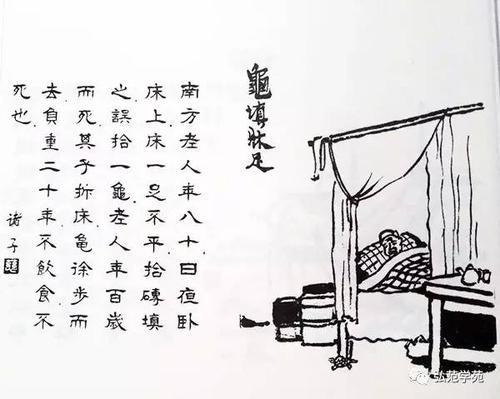 429. 龜填床足.jpg