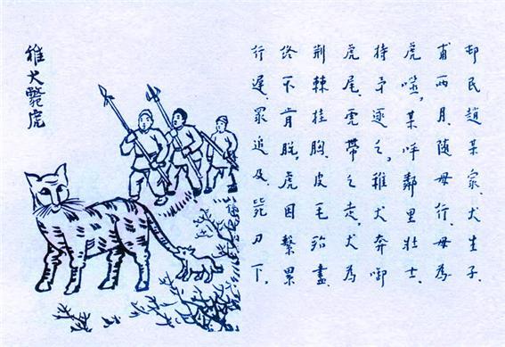 353. 稚犬斃虎.jpg
