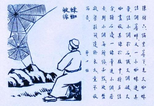 444. 蜘蛛收絲.jpg