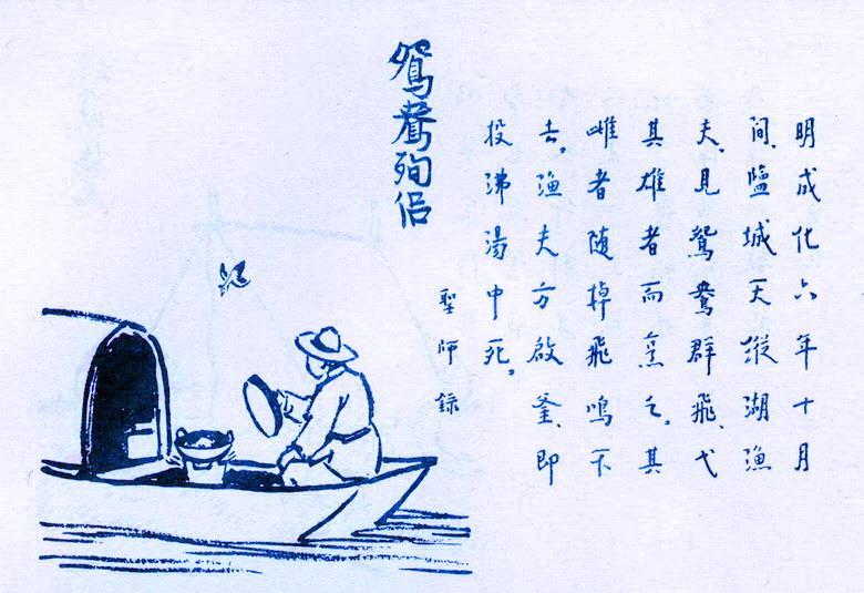 365. 鴛鴦殉侶.jpg