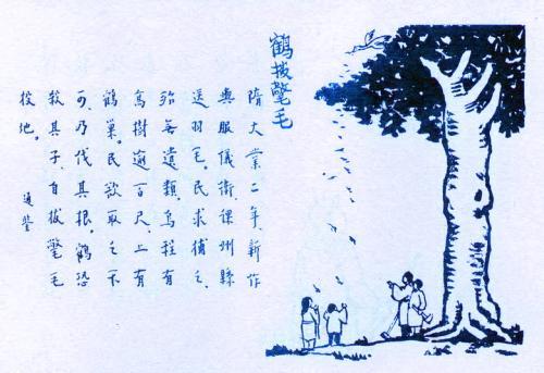 371. 鶴拔氅毛.jpg