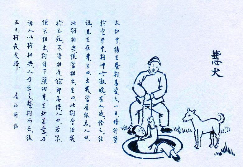 228. 慧犬.jpg