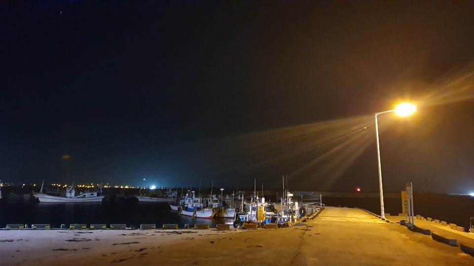 밤항구.jpg