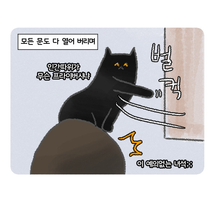 코믹19_016.jpg