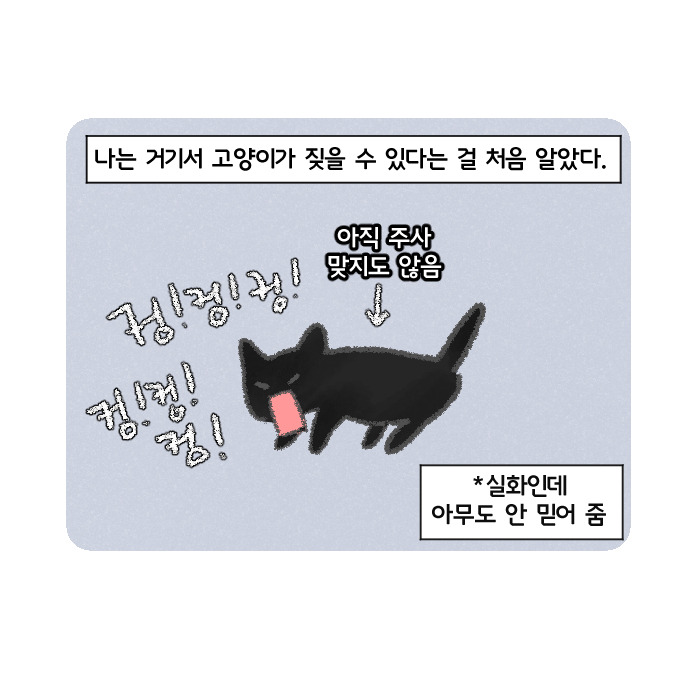 코믹19_002.jpg