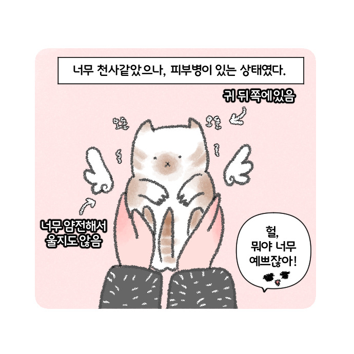 코믹17_007.jpg