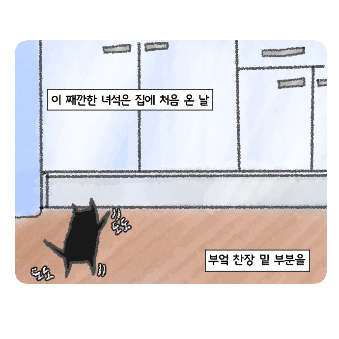 코믹19_009.jpg