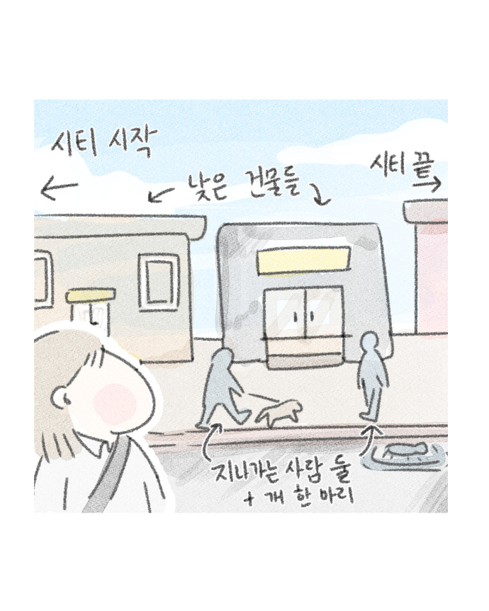 라이브 바카라사이트