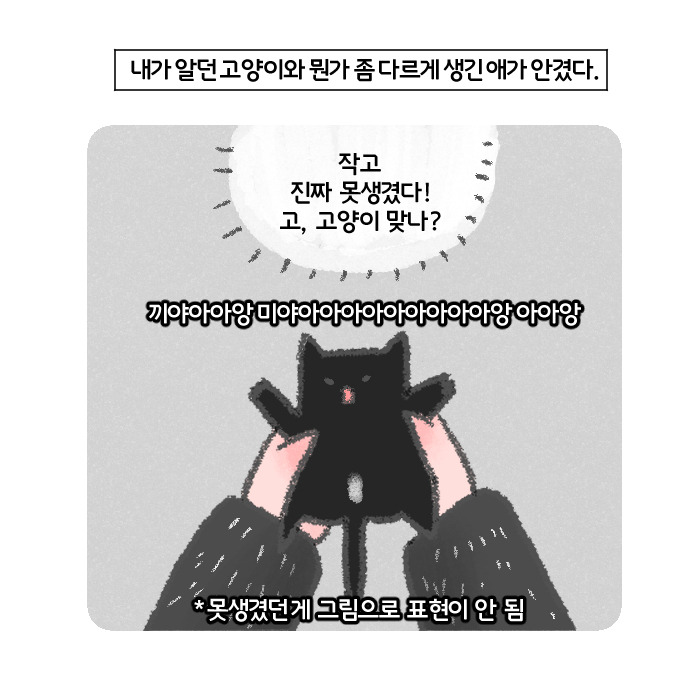 코믹17_013.jpg