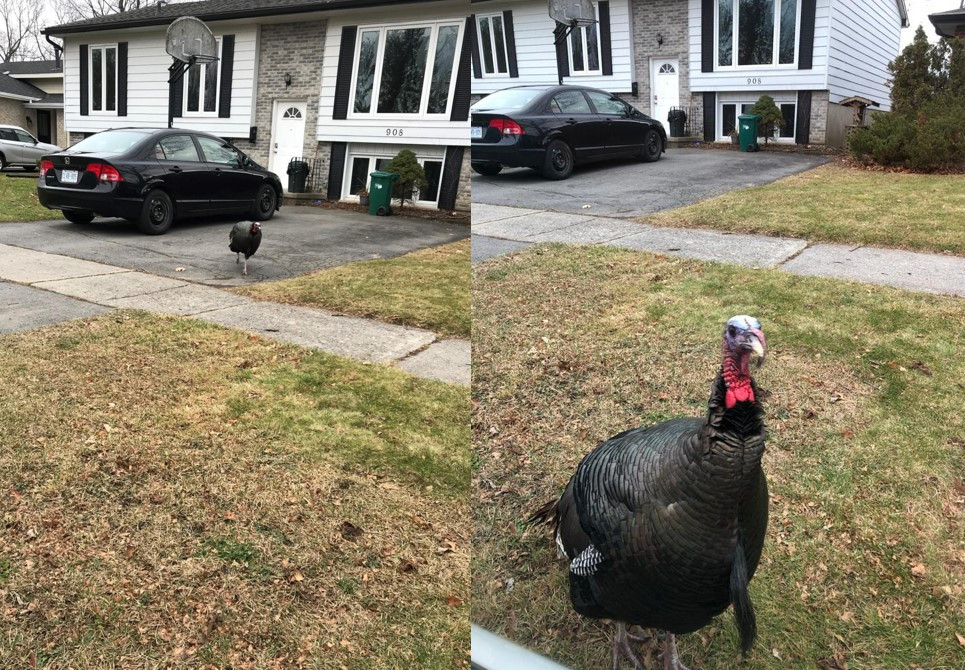 Screenshot 2020-12-14 224105.jpg