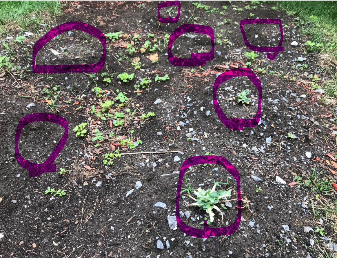 Screenshot 2020-12-12 223707.jpg