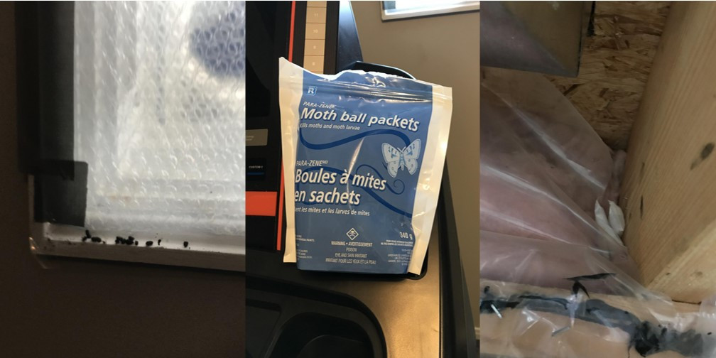 Screenshot 2020-12-19 215119.jpg