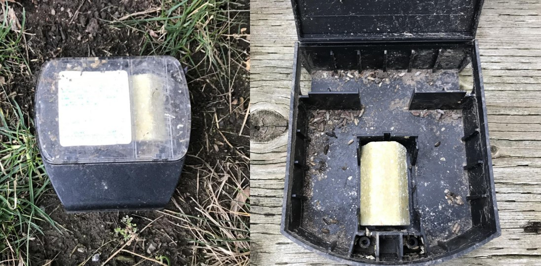 Screenshot 2020-12-19 224608.jpg