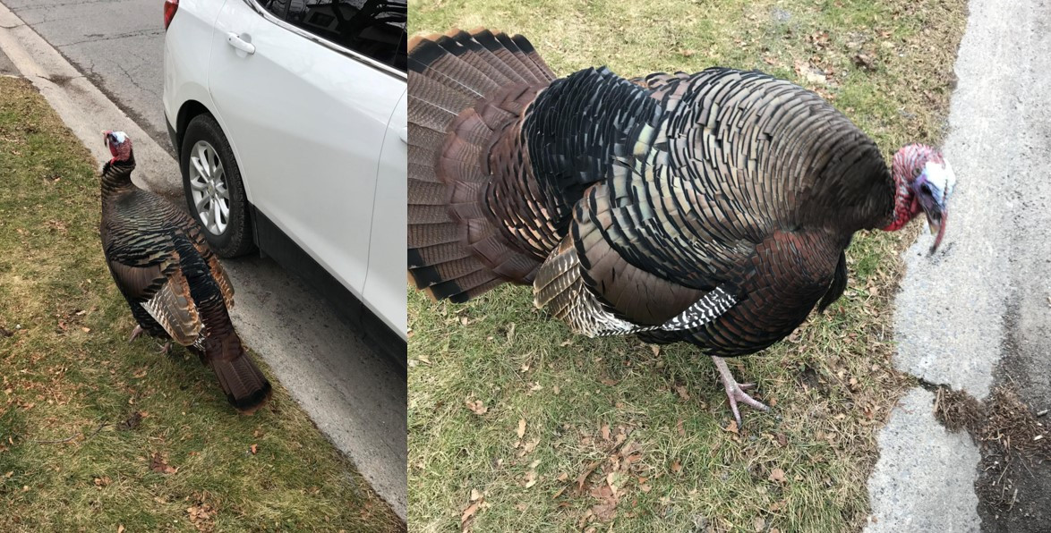 Screenshot 2020-12-15 231653.jpg