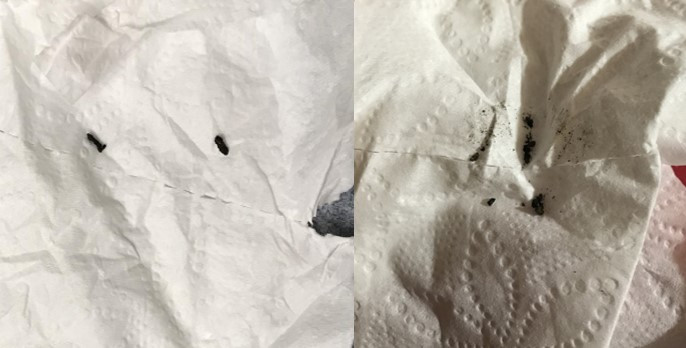 Screenshot 2020-12-18 225502.jpg