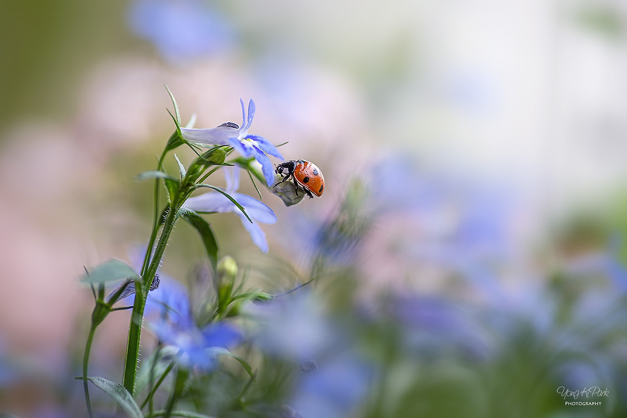 117_2279_77-st-s-I knew that I would love you-7.jpg