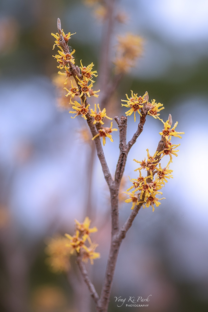 120_7601-s-It's spring-9-2.jpg