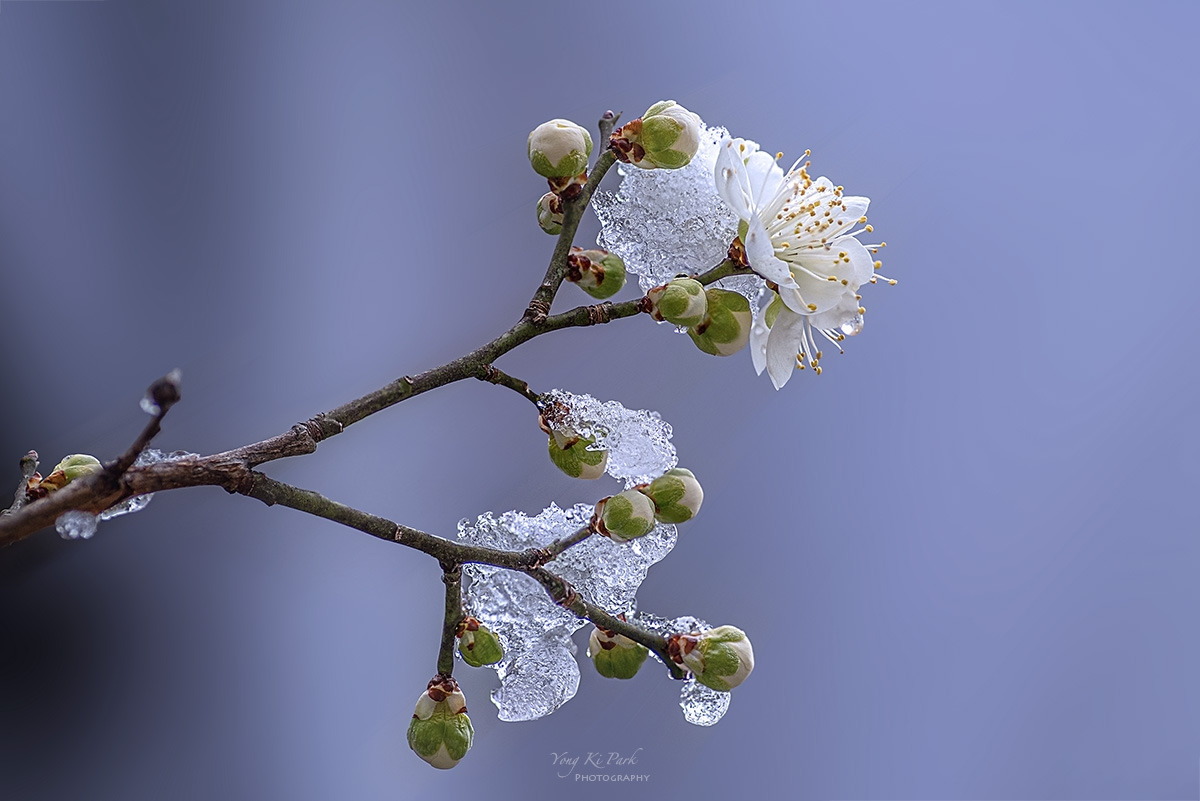 134_2100-04-st-2-s-Spring snow-2025-3.jpg