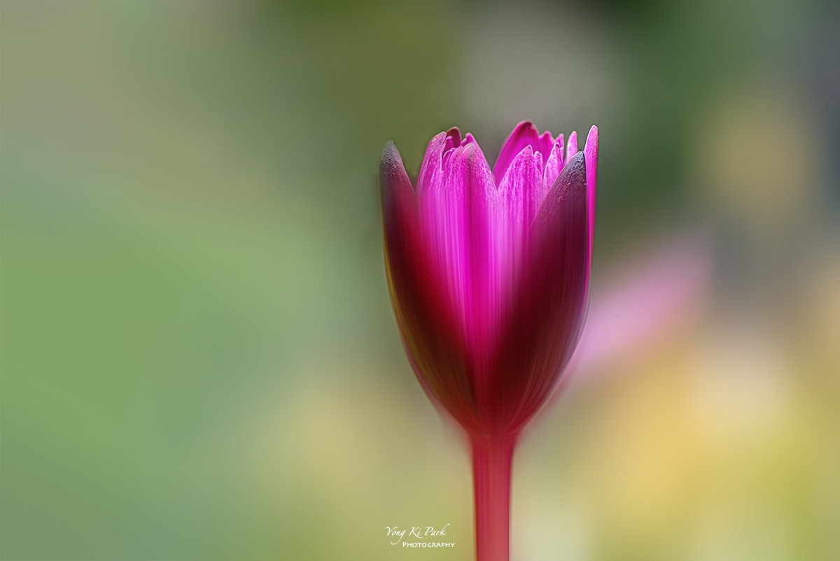 131_4938-41-st-m-c-s-Summer 2024-24.jpg