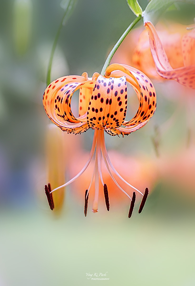 131_4307-08-c-s-Summer 2024-14.jpg