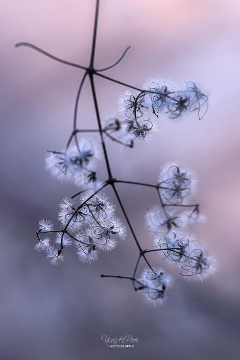 116_3249-s-At February-1(2020).jpg