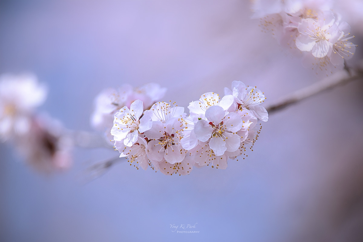 124_7540-46-st-s-Spring again-23.jpg