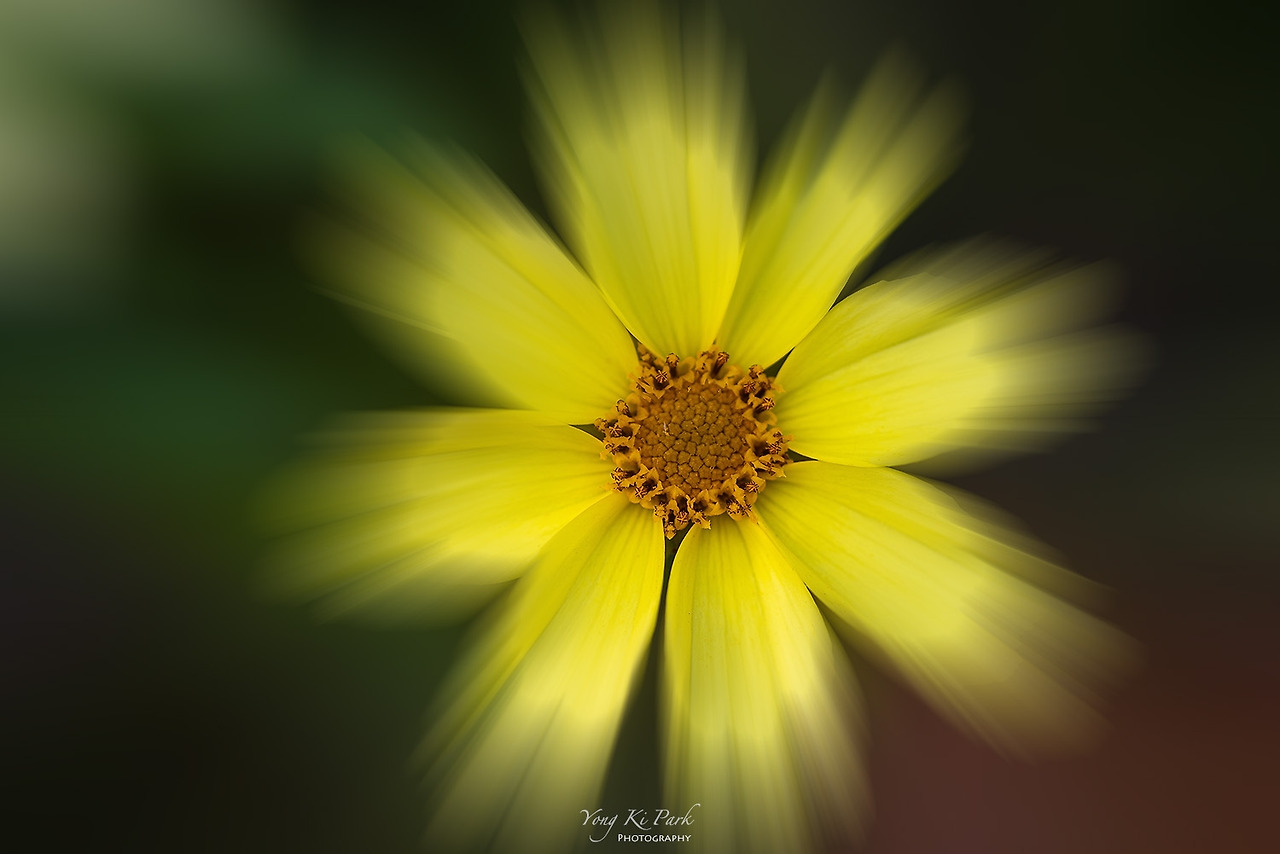 119_1339-m-s-Impression of June-9.jpg