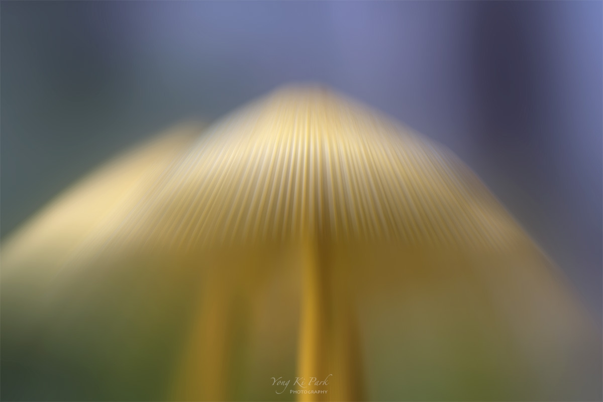 121_7983-91-st-m-s-Made in nature-19-2.jpg