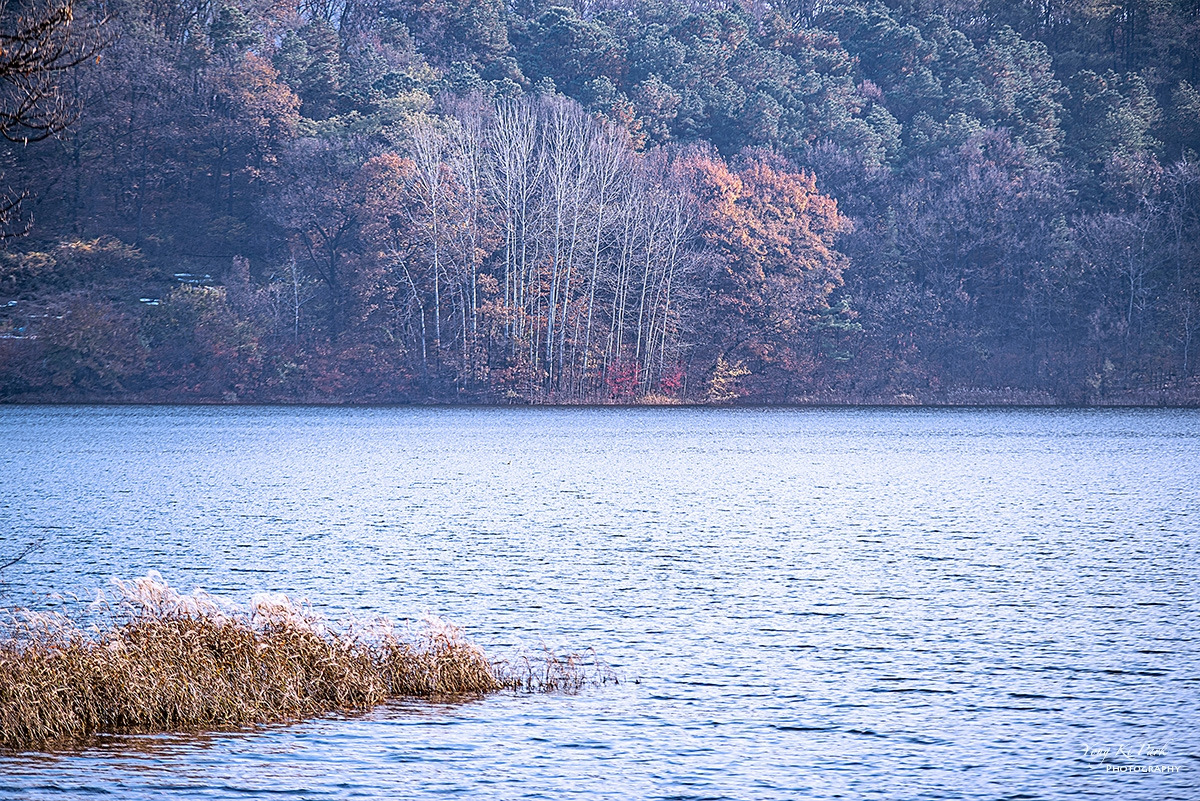 137_9829-F-s-Autumnal lyricism-16.jpg