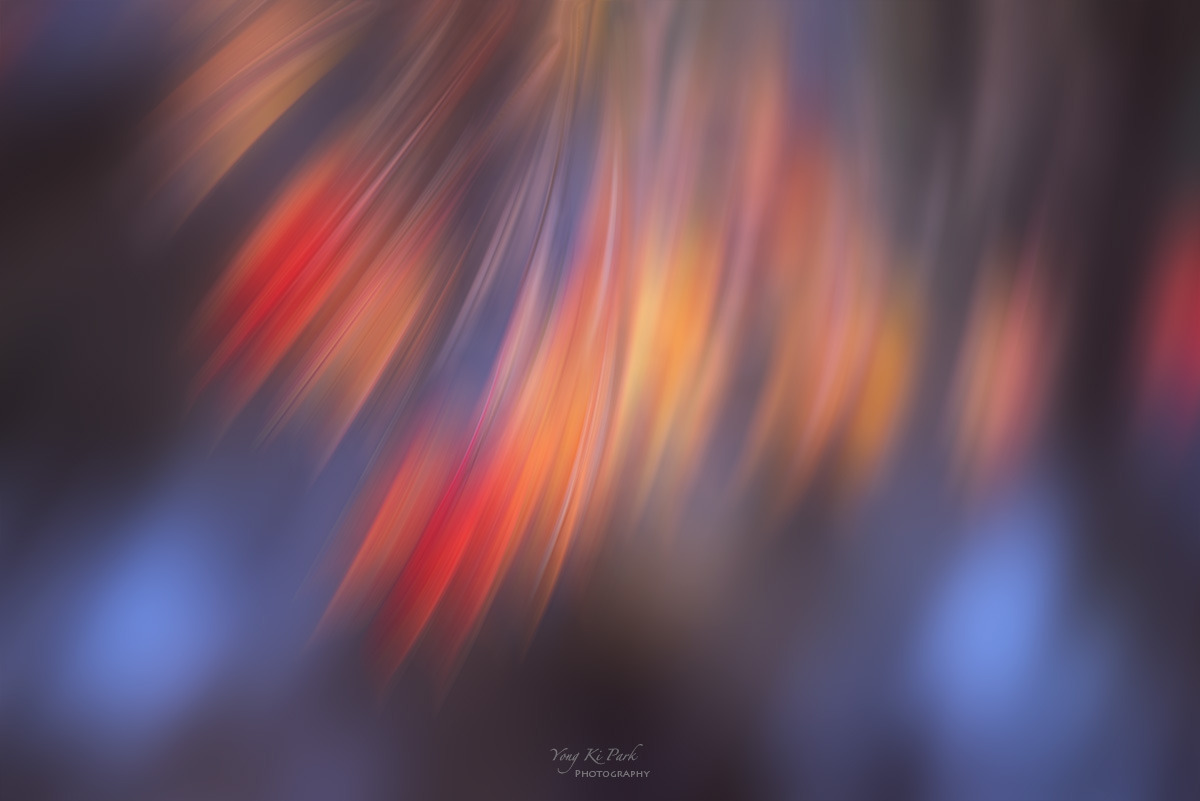 137_9263-F-s-Poetic moment of autumn-2.jpg