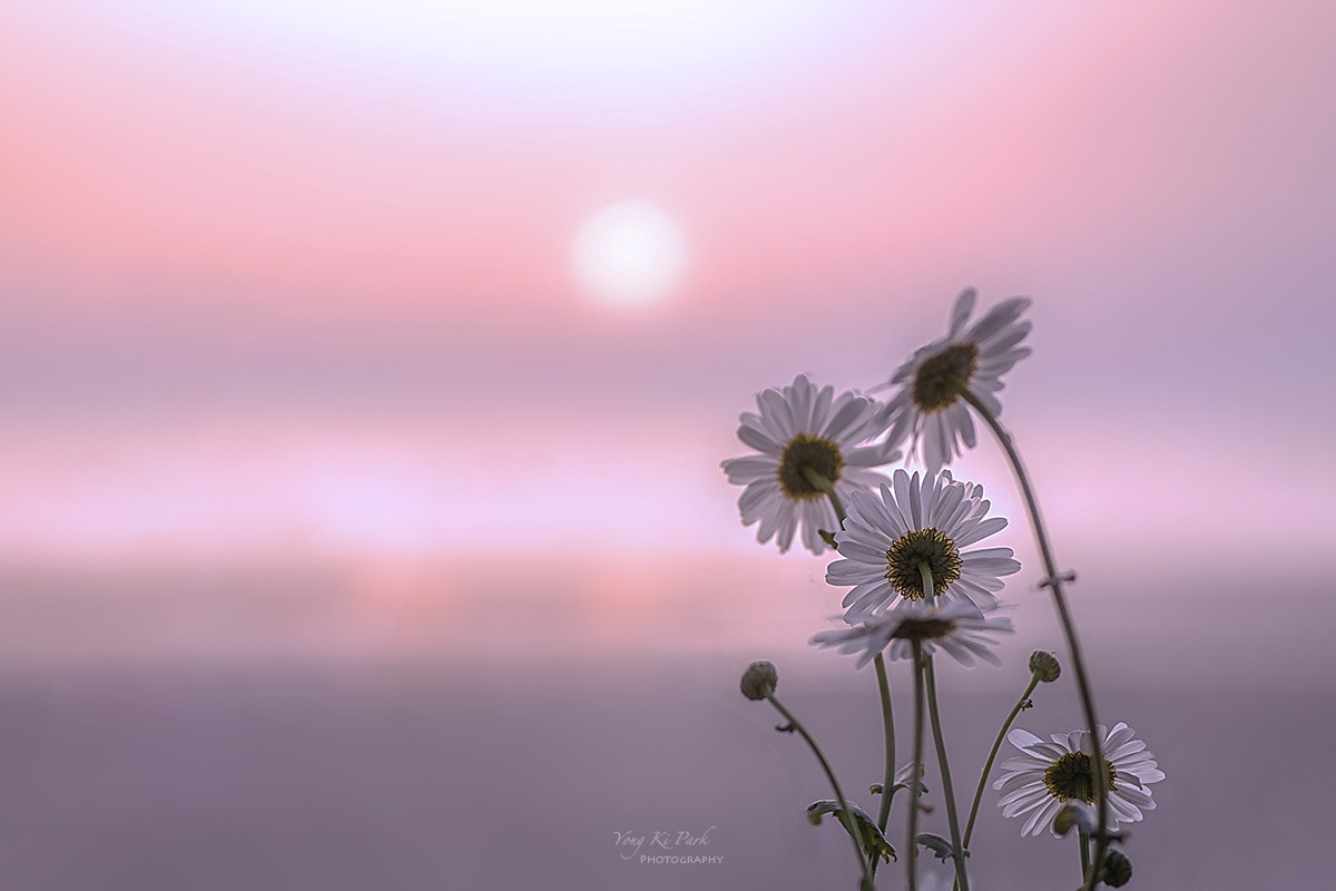 135_6565-HDR-F-c-m-s-A journey on a spring day-4..jpg