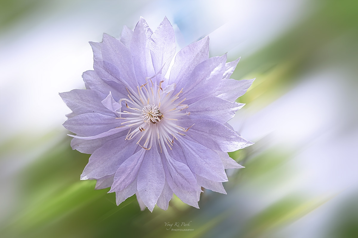 130_5235-38-st-m-s-A garden walk-3.jpg